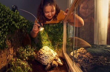 Beziehen Sie Energie von EWE jetzt auch im osnatel-Gebiet.